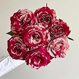 Lot de 300 graines de roses vivaces exotiques, purificatrices d'air, plantes d'intérieur pour balcon, bien-être des abeilles, plantes d'intérieur exotiques, couvre-sol rustiques
