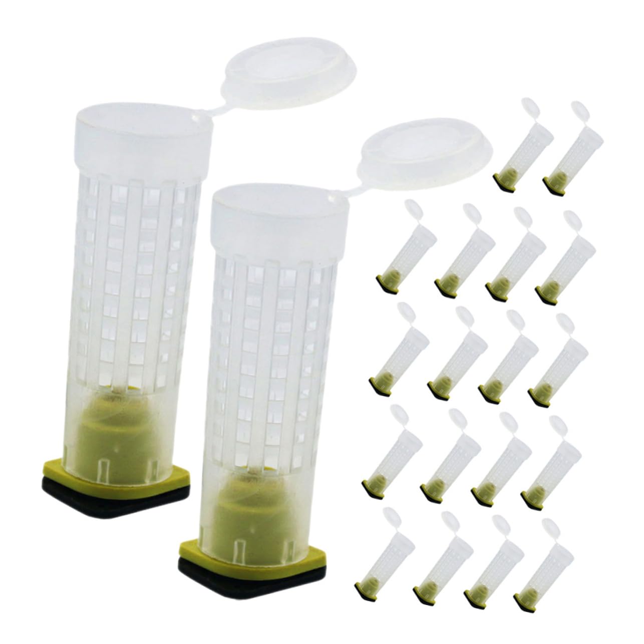 Garneck 4 Set Copertura Per Allevamento Api Protezione Bee Cage Con Design Ventilato Attrezzatura Per Apicoltura E Facile Da Utilizzare Per Apicoltori E Allevamento Delle Api 40 Pezzi * 4