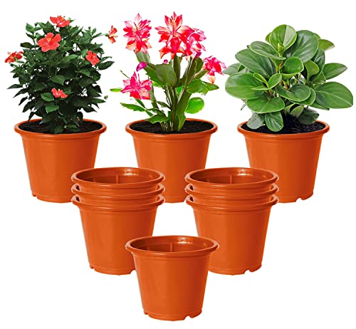 Image of Kuber Industries Durable Plastic Flower Pot|Gamla with Drain Holes for Indoor Home Decor & Outdoor Balcony,Garden,6 inchx5 inch,Pack of 10 (Orange)