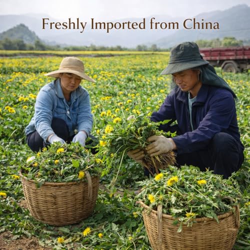 Image of Sancha Tea Boutique, Imported Dandelion Leaves Herbal Tea, Loose Leaves, Harvested in China | Toasty & Floral Caffeine-Free Detox Infusion, Fatty Liver Detox