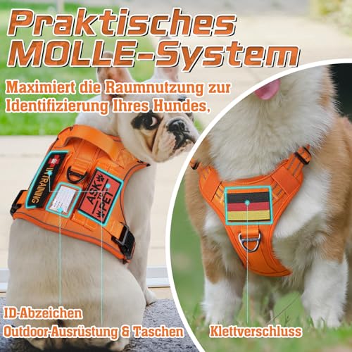 rabbitgoo Hundegeschirr mittelgroße Hunde, Anti Zug Geschirr Hund Verstellbar mit Griffe Verbreitert, Robust und Verschleißfest, Taktisches Hundegeschirr mit Metallschnallen zum Wandern(M, Orange)