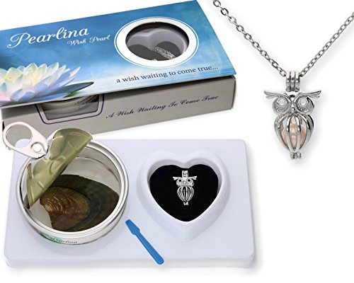 Pearlina Owl Cultured Pearl In Oyster Necklace Set Silver-Tone Cage W/Stainless Steel Chain 18" #TOP1