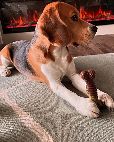 Interpet Nylabone Kauspielzeug für extreme Kauer, Strukturknochen Rinder und Käsegeschmack, M