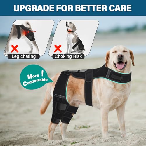 Image of Dog Knee Brace with Vest, Support Dog Acl Brace Hind Leg Torn, Adjustable Dog Rear Leg Braces for Cruciate Ligament Injury, Joint Pain Relief and Arthritis (Double, 4)