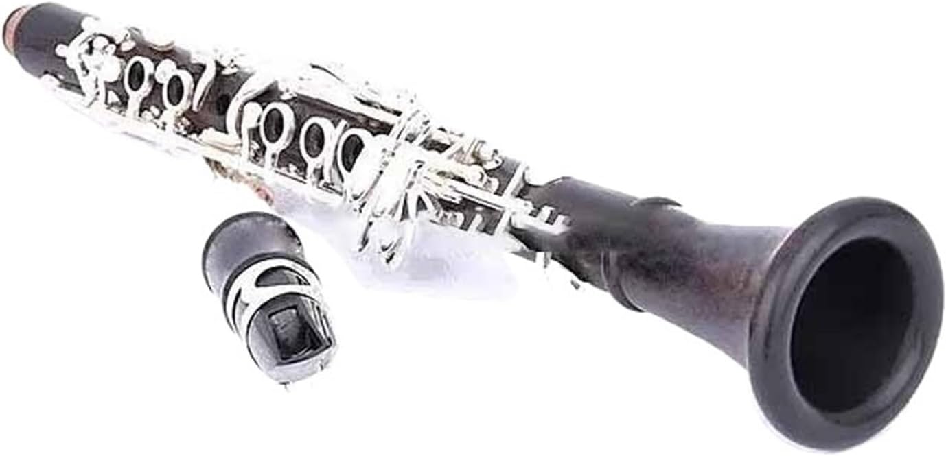 17key E Clarinet Ebony And Silver Keys With Case(Ebony)