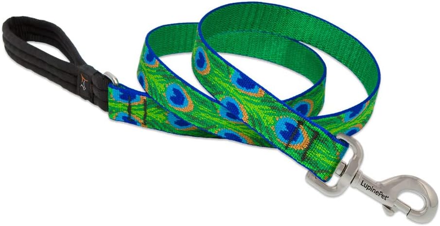 Tail Feathers Patterned Padded Handle Dog Lead, 1-inch/ 4 ft