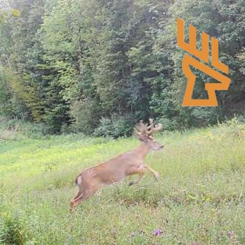 EP192 Design Flow, Layered Bedding, Trail Cameras for Big Bucks Podcast Por arte de portada