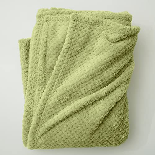 Simple&Opulence Solid Coral Jacquard Dot Velvet 50 X 60-Inches Throw Blanket, Green #TOP4