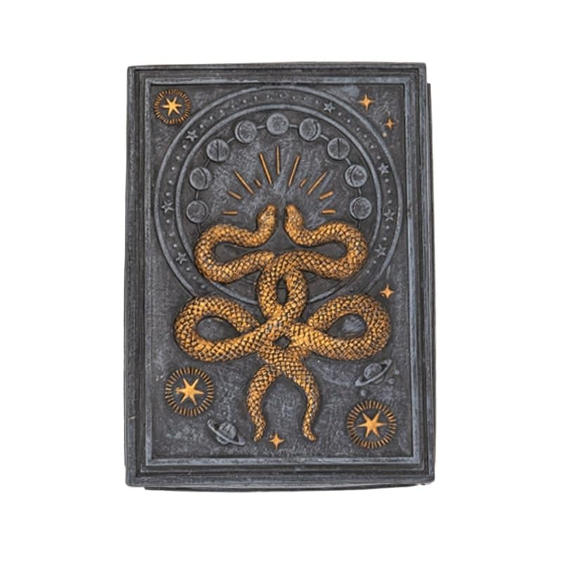 Amazon.com: Pacific Giftware Snake Tarot Box, Wicca Snake Storage