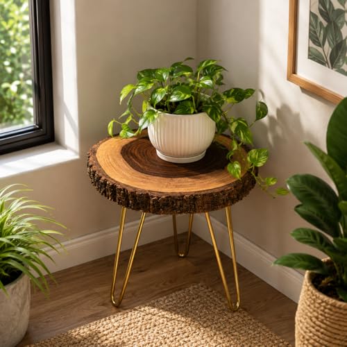 Image of Antique Wooden End Table for Living Room, Natural Bark Edge Side Table with Foldable Metal Legs, Rustic Plant Stand for Bedroom, Balcony & Corner Decor, 10-11 Inch Top x 12'' Height
