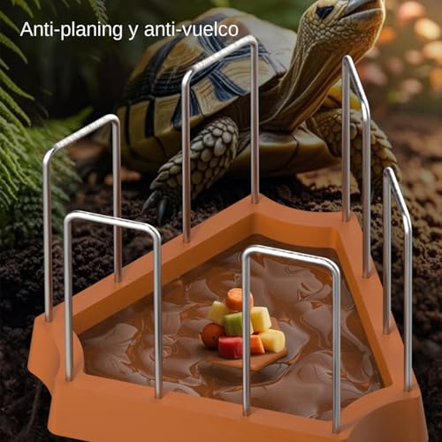 Tränke für Schildkröten, Wasser- und Futterschale für Reptilien, Schildkröten, dreieckiges Futterzubehör für Haustiere: Eidechsen, Schlangen, Krabben-5