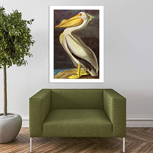 Impression d'art encadrée Pelican de John James Audubon format Grand Mat