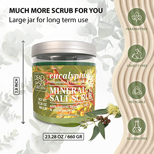 Dead Sea Collection Eucalyptus Salt Body Scrub thumb #5