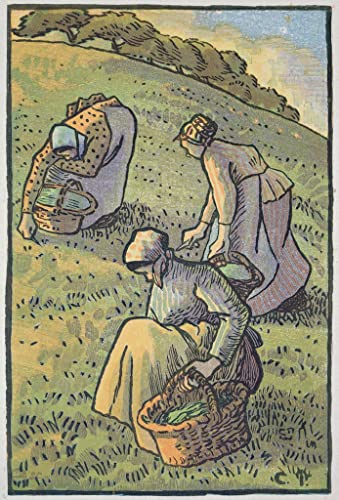 Œuvres des champs gravées par Lucien Pissarro grand tableau sur toile nostalgique 60x90