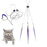 JANEMO Interactive Cat Toys for Indoor Cats,Hanging Cat Toys,Funny Kitten Toys for Indoor Cats Chase
