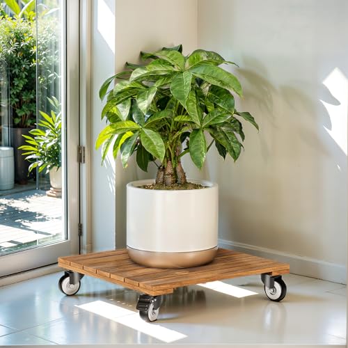 Idzo 2-Pack 12 Inch Acacia Wood Rolling Square Plant Caddy for Plant Pots, Heavy Duty Plant Stand with 360° Lockable Wheels, 264 lbs Capacity Caddy for Indoor and Outdoor Use, Natural Wood
