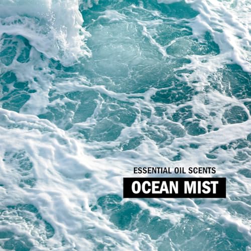 image for Molly's Suds Molly's Suds Liquid Laundry Detergent | Clean Laundr