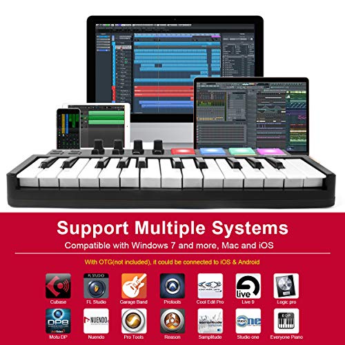 lotmusic Worlde Panda MINI の商品画像 3