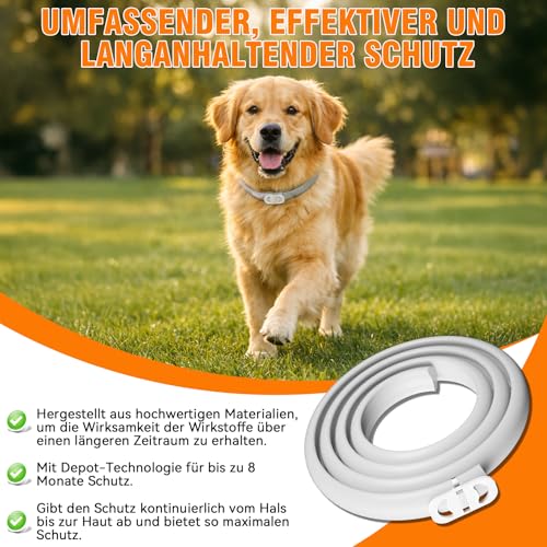 Flohhalsband Hunde (8 Monate Schutz) - Anti Floh- und Zeckenhalsband für Hunde, Wasserdicht & Verstellbar, 65cm Länge für Kleine, Mittlere und Große Hunde