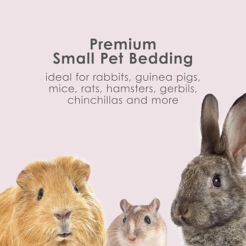 Kaytee Clean & Cozy Colors, Small Animal Bedding with Extreme Odor Control, Plum, 49.2 Liters - image 6