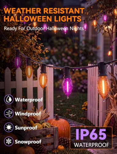 Image of 25FT LED C9 Orange and Purple Halloween String Lights Outdoor, 26 C9 Bulbs