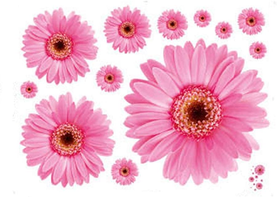 decalcomania per vivaio