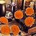 GOMALL 30 Pcs Artificial Marigold Flowers,2