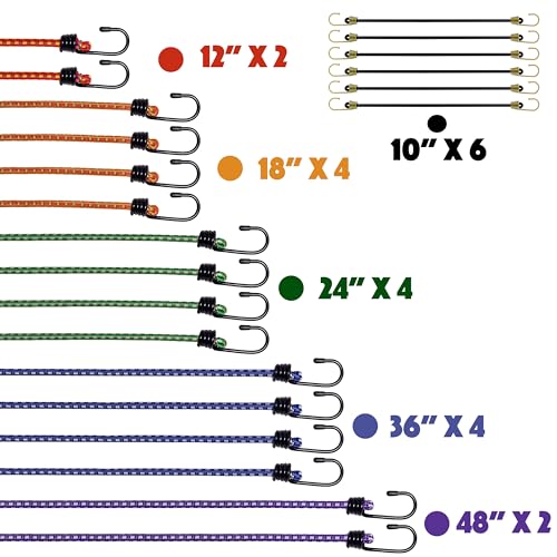 Image of Bungee Cords with Hooks, Heavy Duty Assorted Set, 22PCS - 12 inch, 18 inch, 24 inch, 36 inch,48 inch, Small Bungee Cords, Tent, Truck, Outdoor (22, 10 inch 12 inch 18 inch 24 inch 36 inch 48 inch)