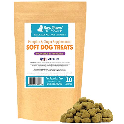 Best Probiotics For Dogs With Ibd 10Reviewz