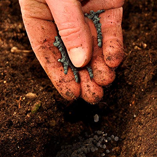 Jobes-09026NA-Plant-Food-Vegetables-Tomato-4lbs