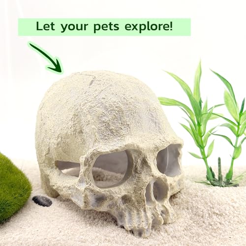 Image of CTWPets Aquarium Human Skull Decor for Betta Fish, Sinking Hide Shrimp Hide