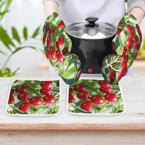 Gants de cuisine résistants à la chaleur lot de 4 maniques - 7