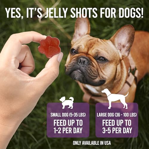 Image of SodaPup Dogtastic Jelly Shots Mix with Paw Silicone Mold - Cranberry Flavored Gelatin Superfood for Dogs, Packed with Collagen for Joints, Digestion, Gut, Skin & Coat Health - 4.7oz, Made in USA