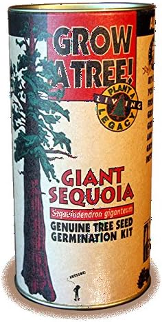 Jonsteen Company - Genuine Tree Seed Germination Kit - Giant Sequoia