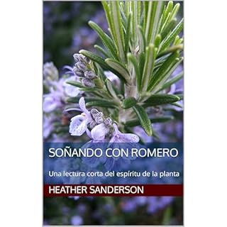 So&ntilde;ando con romero Audiolibro Por Heather Sanderson arte de portada