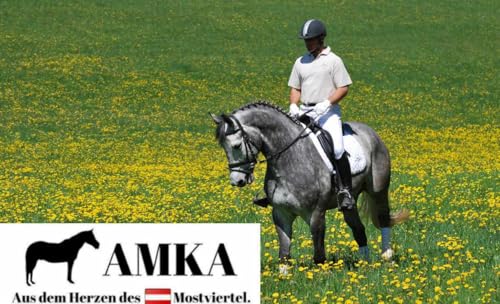 AMKA Knebeltrense Schenkeltrense Fulmer Trense einfach gebrochen Edelstahl massiv Stärke 15 mm Ringe 55 mm