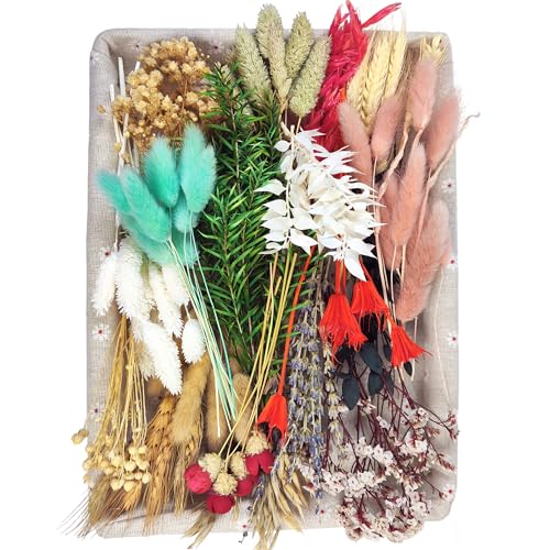 Kit natural de flores secas para manualidades y decoración miniatura 1
