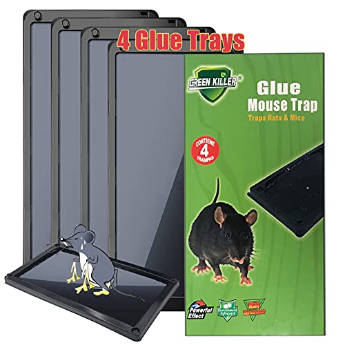 Mouse Glue Trap,Mouse Traps,Large Glue Traps 10x5 Inch,Mouse Glue Traps Indoor and Outdoor,Mouse Rat Trap Glue,Mouse Trap Glue Heavy Duty Mouse Sticky Trap Can Catch Mouse,Snakes and Other Pests