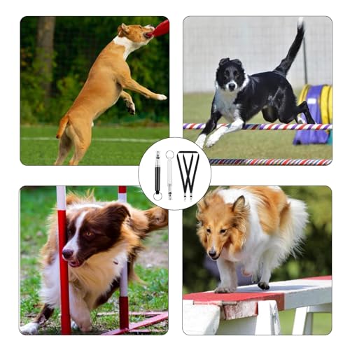 2 Stück Hundepfeife Rütter Rückruf,Hundepfeife Hochfrequenz Lautlos,Hundepfeife Rückruf,Hundetraining Hundepfeifen,Pfeife Hund Rückruf,Dog Whistle,Erziehungshilfen für Hunde,Hilfsmittel Pfeifen Hund