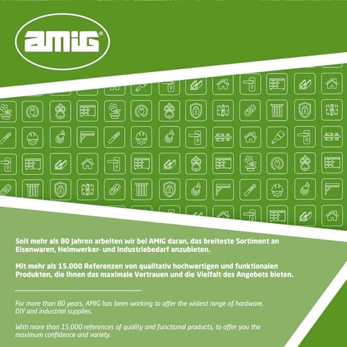 Amig - Regalwinkel Edelstahl | Metallwinkel für Regale | Regalhalterung | Farbe Verzinkt | Maße: 250 x 200 mm | Empfohlenes max. Gewicht: 250 kg