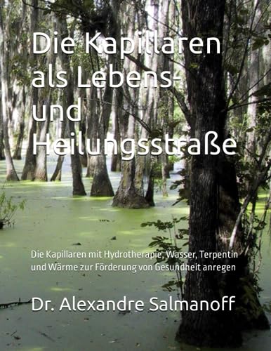 Die Kapillaren als Lebens- und Heilungsstraße: Die Kapillaren mit Hydrotherapie, Wasser, Terpentin und Wärme zur Förderung von Gesundheit anregen