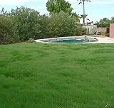 Outsidepride Xeriscape Native Prairie Grass Seed Mix...