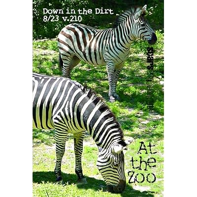 At the Zoo