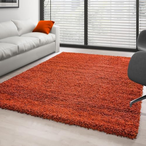Ayyildiz - Tapis Shaggy Terracotta Doux et Moelleux 30 mm pour Salon et Chambre - Dimension 200x290 cm