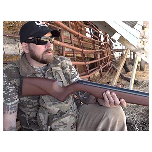 A farm hunt with an open sited Walther Parrus break barrel