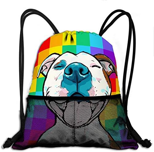 rainbow mesh backpack