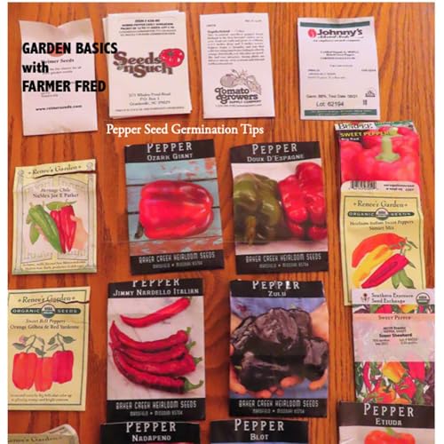 374 Success with Pepper Seeds and Seedlings. Fire-Wise Landscaping. Podcast Por  arte de portada