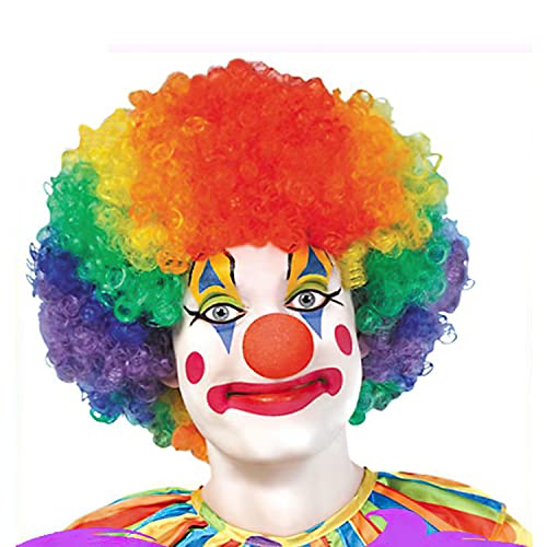 HHXC Skeleteen Colorful Clown Costume Wig,Colorful Clown Wig,for Men Women Cosplay Anime Party Christmas Halloween Fancy Funny Wigs