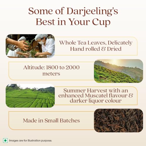 Image of 1868 by TATA Tea Darjeeling Rare Wonder, Pure Darjeeling Black Tea, Hand Rolled, Whole Loose Leaf, Second Flush, Muscatel Flavour, From House of TATA (25 Cups /50g) (Pack of 3)