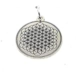 Personaliza plata